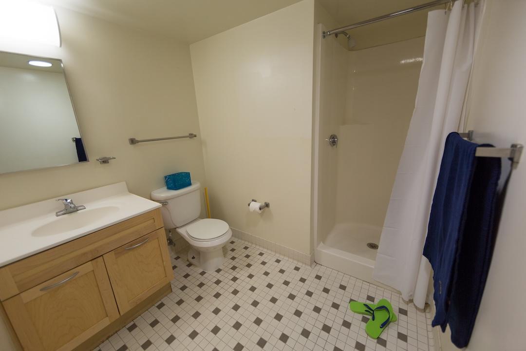 Shenkman bathroom with shower stall
